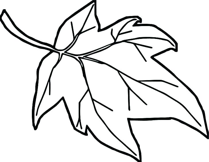 Coloring Page Leaf Oak Leaf Coloring Page Leaves Coloring Pages 728x566 Coloring Page Leaf Oak Leaf Coloring Page Leaves Coloring Pages