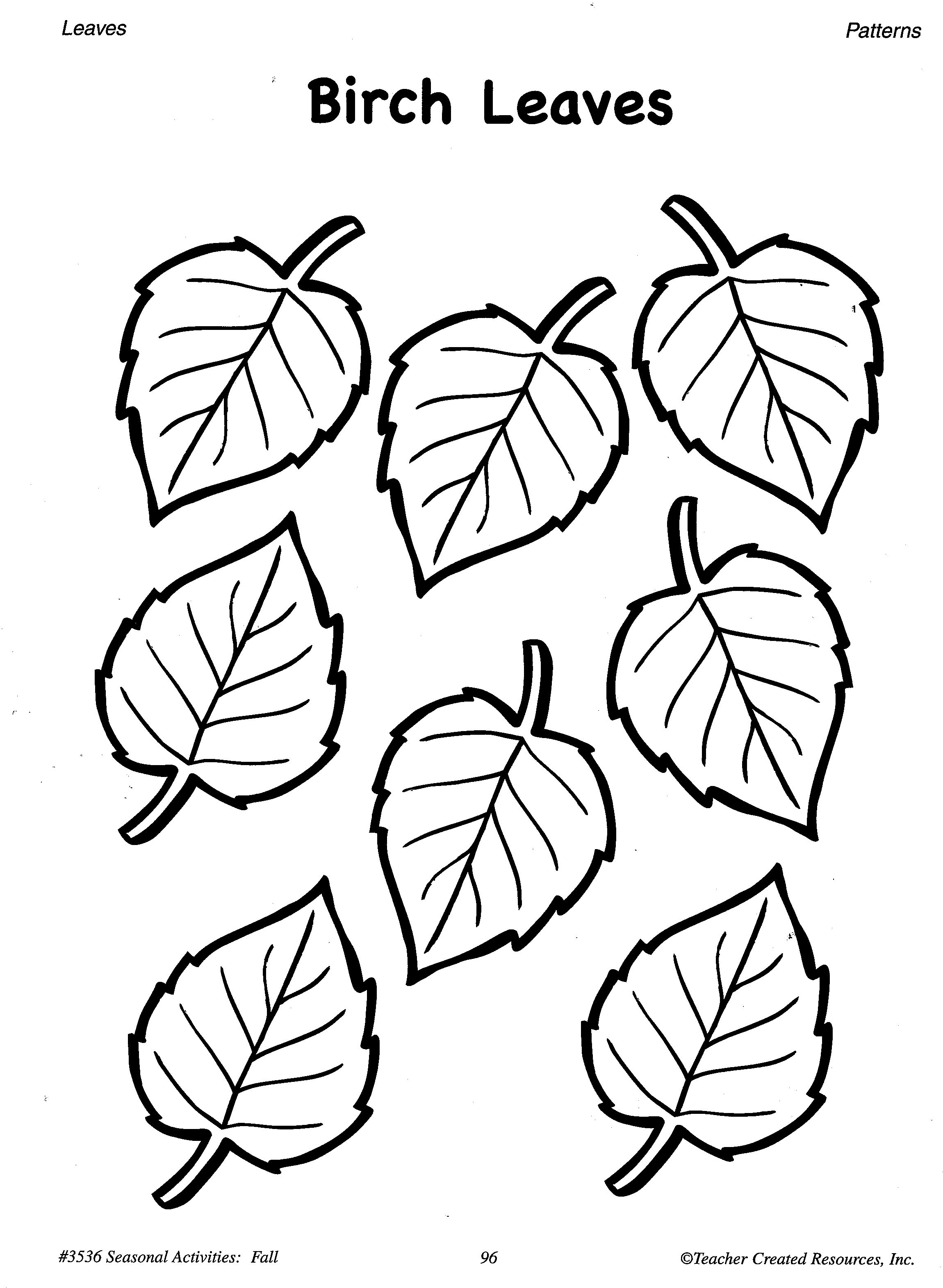Focus Leaves Template Printable Free Oak Leaf Coloring Page Image 2300x3143 Focus Leaves Template Printable Free Oak Leaf Coloring Page Image