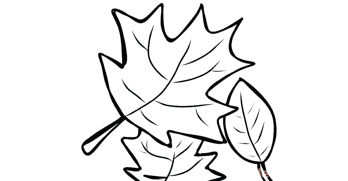 Autumn Coloring Pages For Kindergarten Leaf Coloring Page Oak Leaf 1120x584 Autumn Coloring Pages For Kindergarten Leaf Coloring Page Oak Leaf