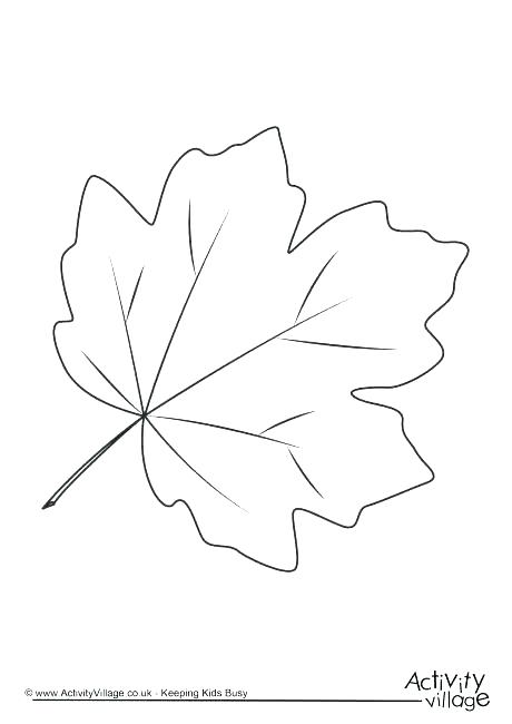 Leaves Coloring Page Oak Leaf Coloring Page Oak Leaf Coloring Page 460x650 Leaves Coloring Page Oak Leaf Coloring Page Oak Leaf Coloring Page