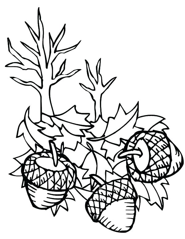 Oak Leaf Coloring Page Acorn Falling Down Coloring Pages Oak Leaf 600x775 Oak Leaf Coloring Page Acorn Falling Down Coloring Pages Oak Leaf