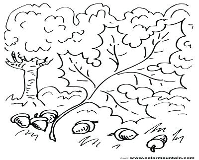 Oak Leaf Colouring Page Coloring Pages Of Trees With Leaves Tree 400x322 Oak Leaf Colouring Page Coloring Pages Of Trees With Leaves Tree