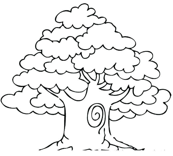 736x666 Awesome Drawing Oak Tree Coloring Page And Awesome Drawing Oak