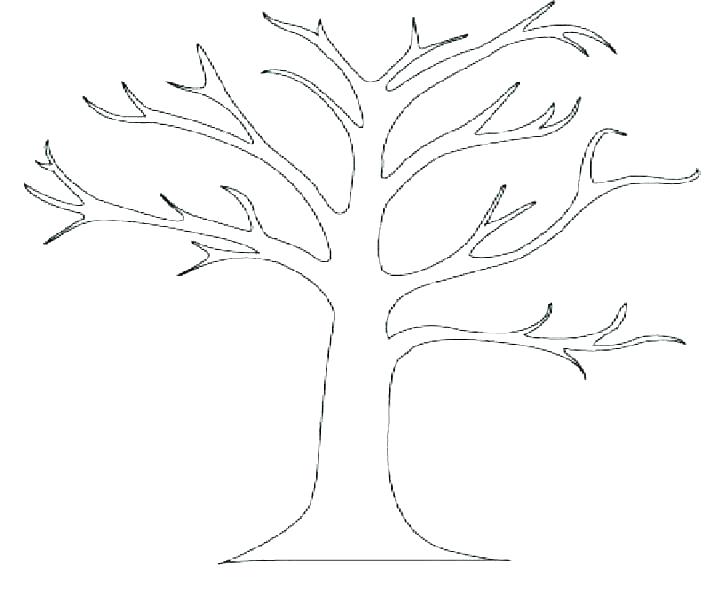 728x593 Tree Coloring Pages Oak Tree With So Many Branch Coloring Page