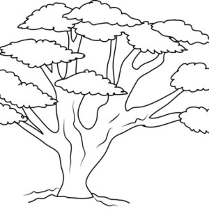 Giant Oak Tree Coloring Page Color Luna 300x300 Giant Oak Tree Coloring Page Color Luna