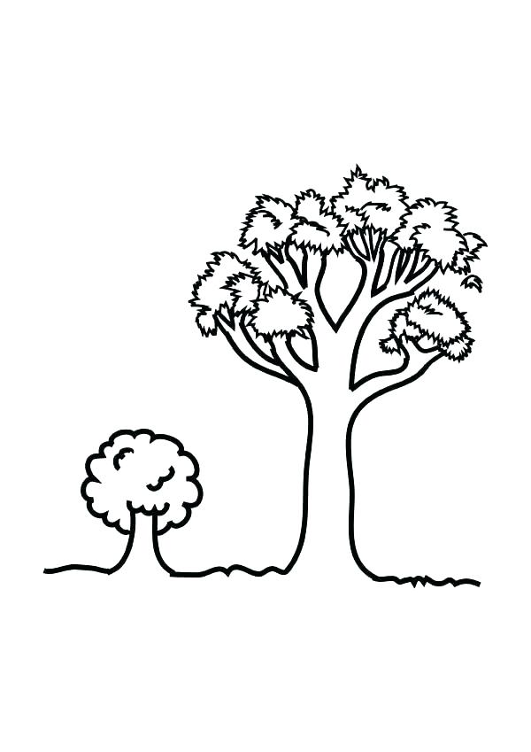 Oak Leaf Coloring Page Oak Tree Coloring Page Oak Leaf Coloring 600x849 Oak Leaf Coloring Page Oak Tree Coloring Page Oak Leaf Coloring