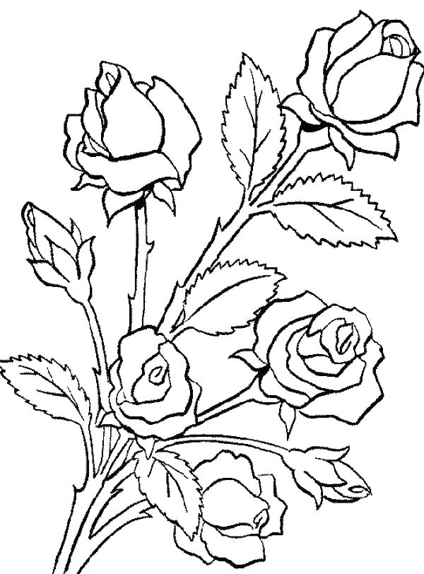 Coloring Pages Of Trees Plants And Flowers Colouring Pages Trees 600x812 Coloring Pages Of Trees Plants And Flowers Colouring Pages Trees