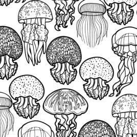 268x268 Coloring Pages For Adults Ocean Archives
