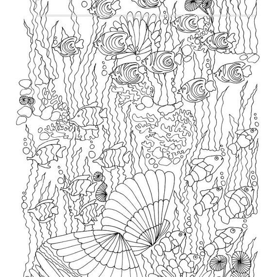 570x569 Adult Coloring Book, Printable Coloring Pages, Coloring Pages