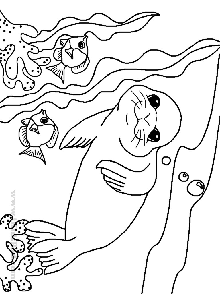 768x1024 Epic Sea Animals Coloring Pages 23 For Coloring Print With Sea