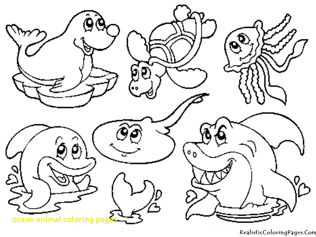 1024x768 Ocean Animal Coloring Pages With Ocean Animals Coloring Pages
