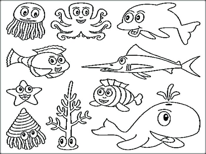 700x525 Ocean Animals Coloring Pages Coloring Pages Sea Animals Sea