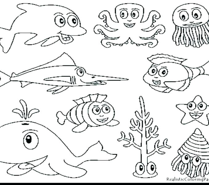 678x600 Sea Animal Coloring Pages Marine Life Coloring Pages Sea Animal