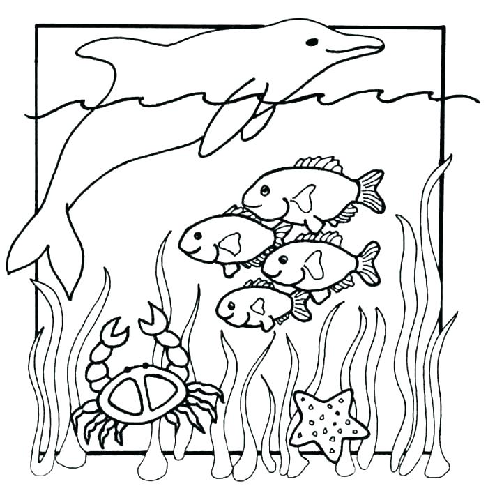 Ocean Animal Coloring Pages For Toddlers Of Sea Animals Marine 700x707 Ocean Animal Coloring Pages For Toddlers Of Sea Animals Marine