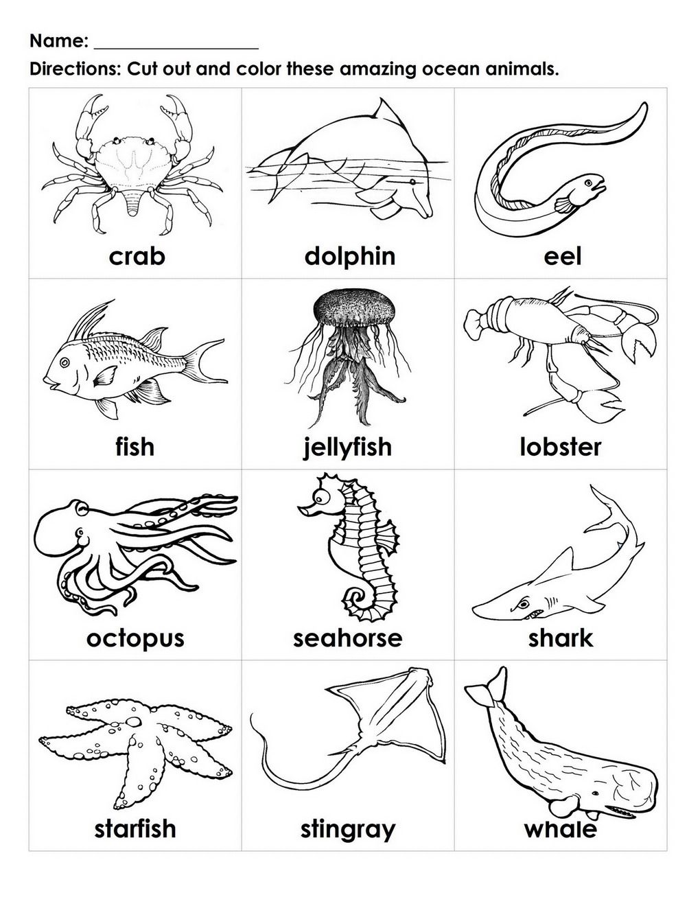 Amazing Ocean Animals B W Cards Student Handout.jpg 1020x1320 Amazing Ocean Animals B W Cards Student Handout.jpg