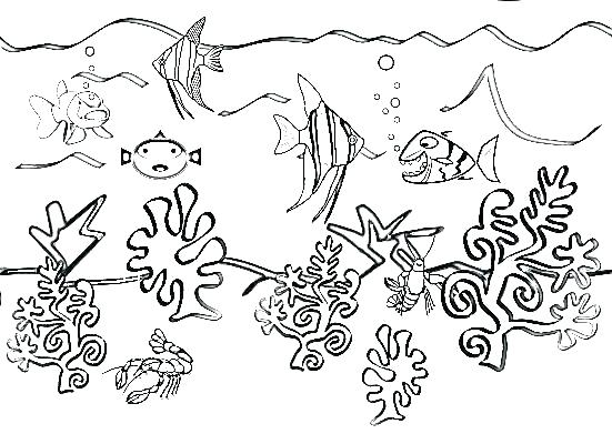 Underwater Coloring Page Water Animals Coloring Pages Underwater 551x400 Underwater Coloring Page Water Animals Coloring Pages Underwater
