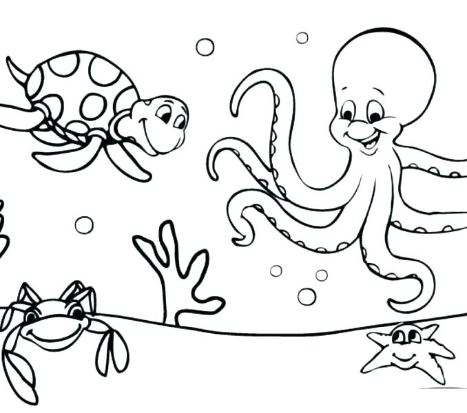 Ocean Pictures To Color 678x600 Ocean Pictures To Color