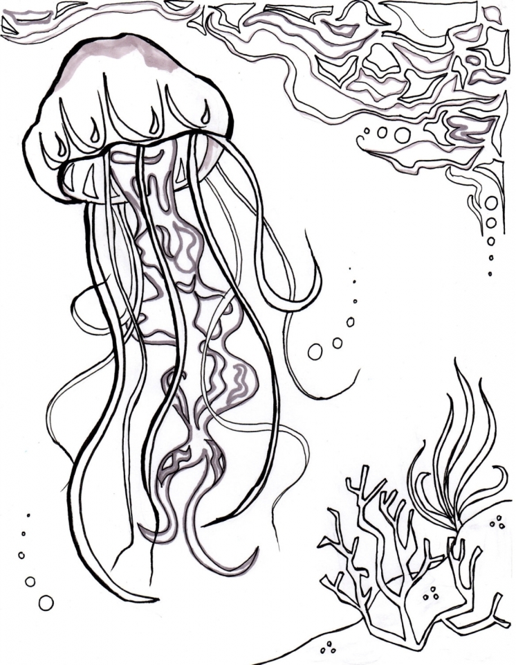 746x960 Get This Ocean Coloring Pages For Adults I57vb !