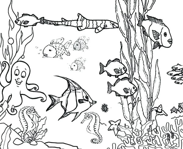 600x490 Printable Ocean Pictures Printable Ocean Animal Coloring Pages