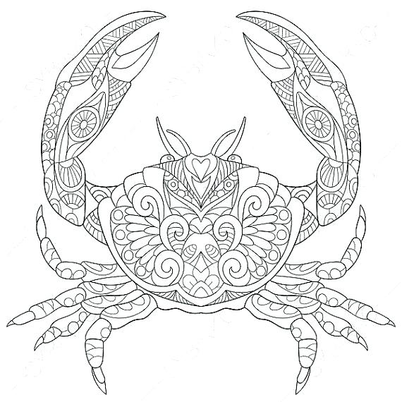 570x570 Coloring Pages For Adult Ocean Coloring Pages For Adults Ocean