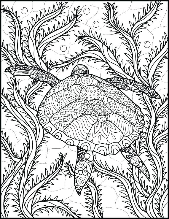 570x738 Ocean Coloring Pages For Preschool Ocean Coloring Page Marine Life