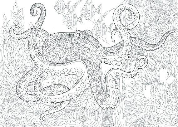 570x407 Sea Life Coloring Pages Ocean Life Coloring Pages Coloring Pages