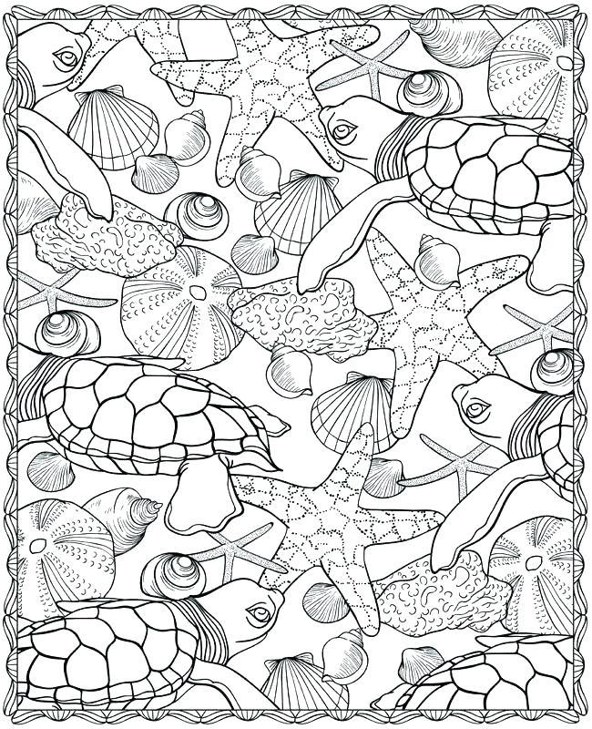 650x800 Seashell Coloring Page Ocean Coloring Pages For Adults Also Turtle
