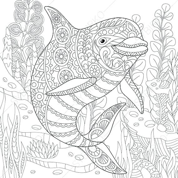 570x570 Adult Ocean Coloring Pages Ocean Coloring Pages For Adults 17604