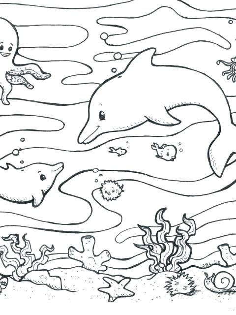480x640 Animals Coloring Pages For Toddlers Coloring Pages Children