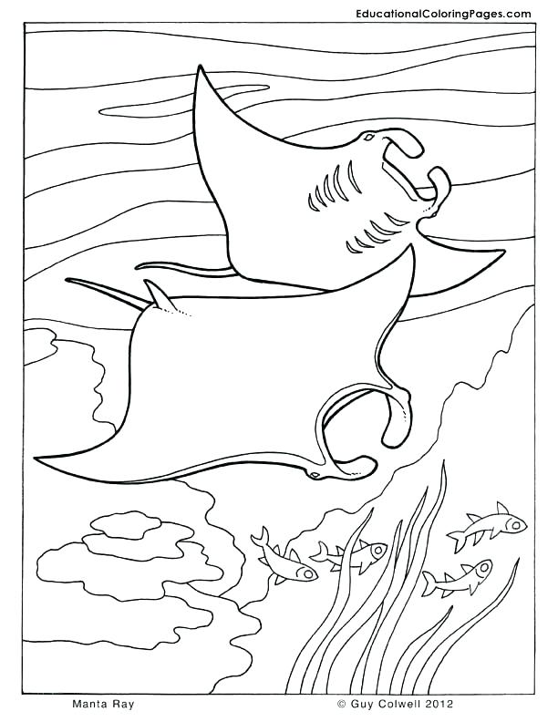 612x792 Manta Ray Coloring Page Best Ocean Coloring Pages Ideas On Ocean