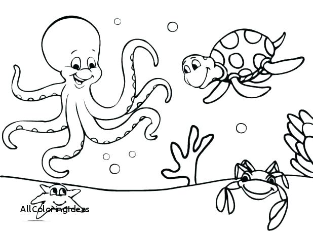 618x464 Free Ocean Coloring Pages Ocean Animal Coloring Pages With Ocean