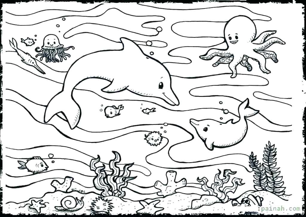 Ocean Creatures Coloring Pages Ocean Life Coloring Pages Sea 1024x728 Ocean Creatures Coloring Pages Ocean Life Coloring Pages Sea