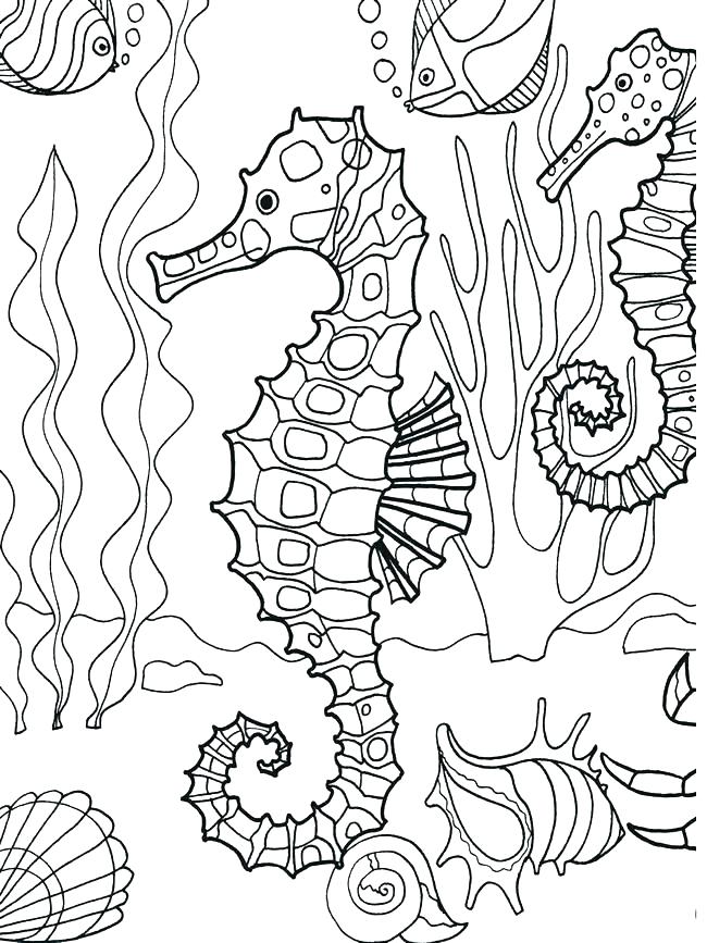 Ocean Creatures Coloring Pages Underwater Coloring Page Underwater 650x867 Ocean Creatures Coloring Pages Underwater Coloring Page Underwater