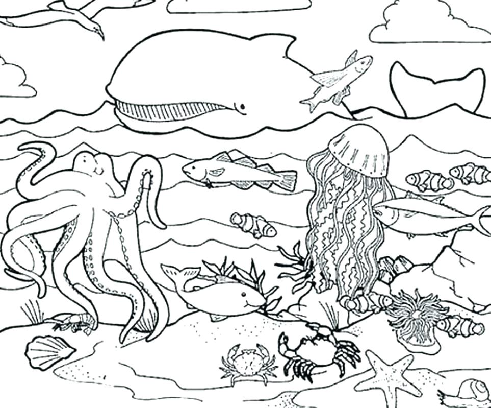 Ocean Life Coloring Pages Sea Life Coloring Pages Fancy Sea Life 963x799 Ocean Life Coloring Pages Sea Life Coloring Pages Fancy Sea Life