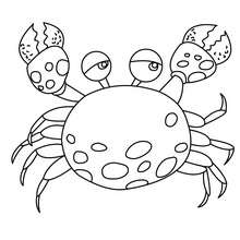 Sea Animals Coloring Pages 220x220 Sea Animals Coloring Pages