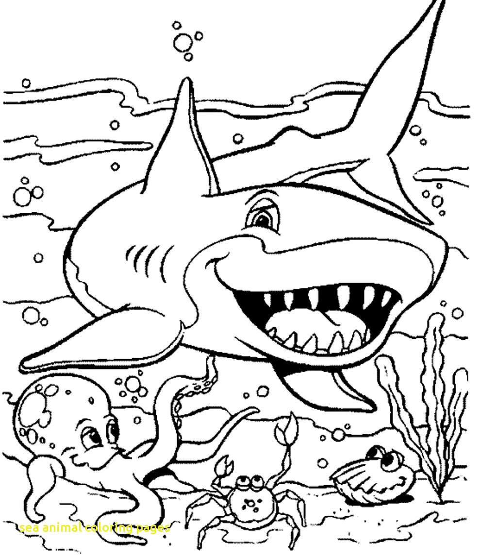 Sea Animal Coloring Simple Ocean Creatures Coloring Pages 991x1145 Sea Animal Coloring Simple Ocean Creatures Coloring Pages