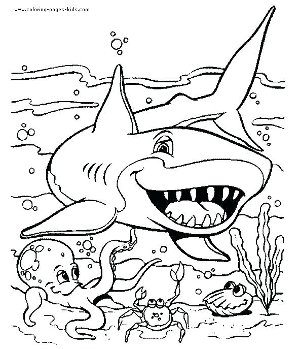 Marine Coloring Page Ocean Creatures Coloring Pages Blue Shark 590x687 Marine Coloring Page Ocean Creatures Coloring Pages Blue Shark