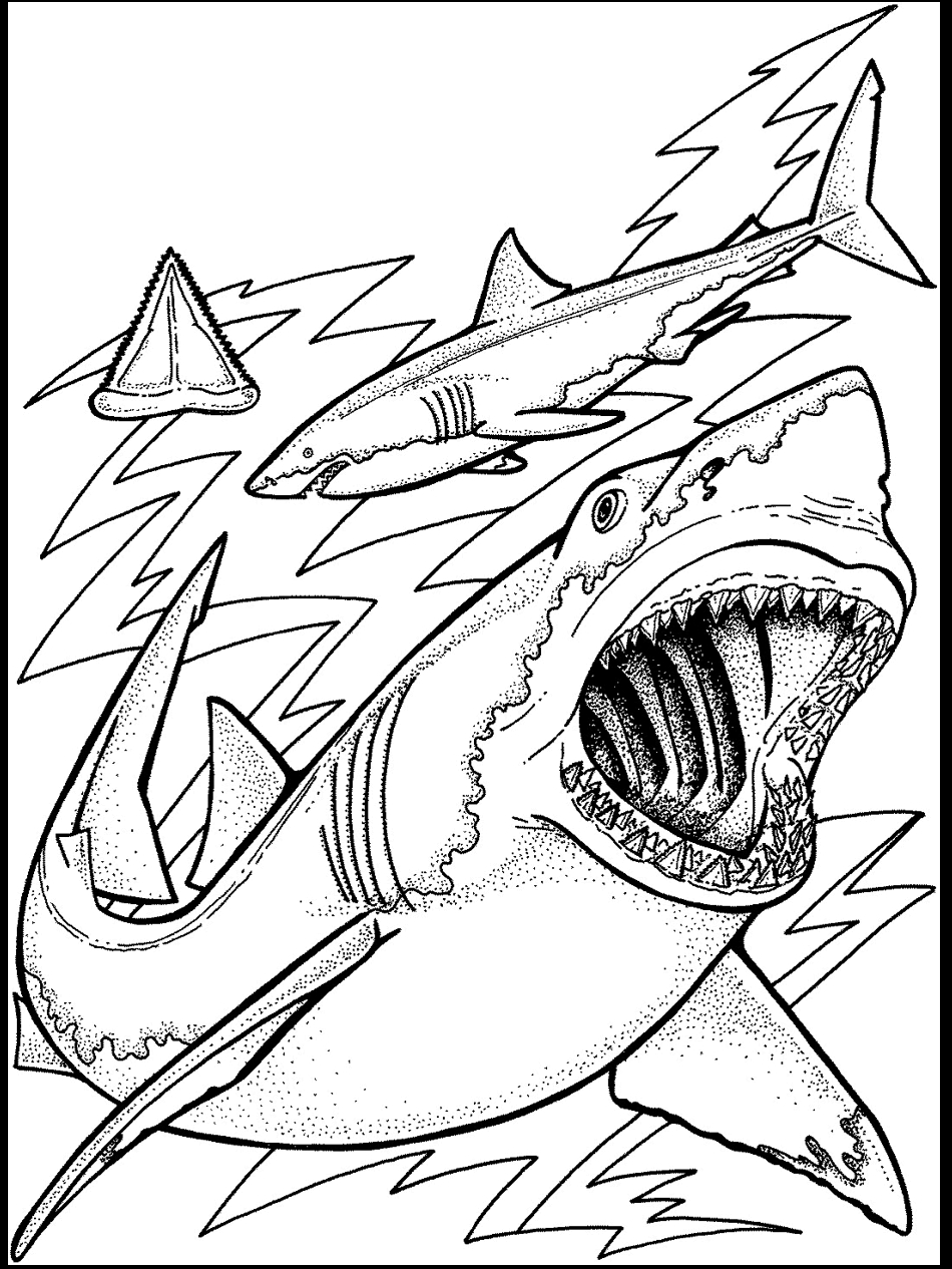 Ocean Fish Coloring Pages 3 950x1266 Ocean Fish Coloring Pages 3