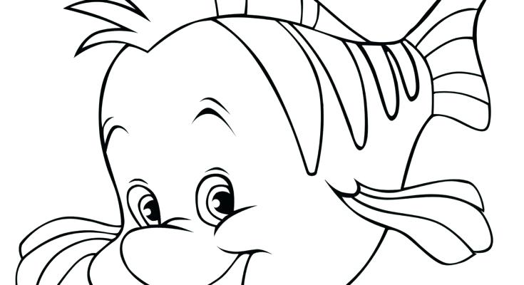 Beautiful Fish Coloring Pages For Preschoolers Pictures Global 735x400 Beautiful Fish Coloring Pages For Preschoolers Pictures Global