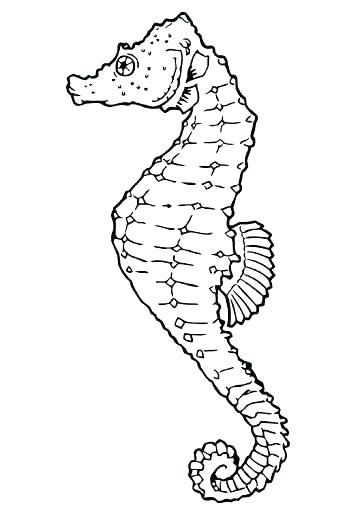 Ocean Fish Coloring Pages Tropical Fish Colori Pages Ocean Fish 362x512 Ocean Fish Coloring Pages Tropical Fish Colori Pages Ocean Fish