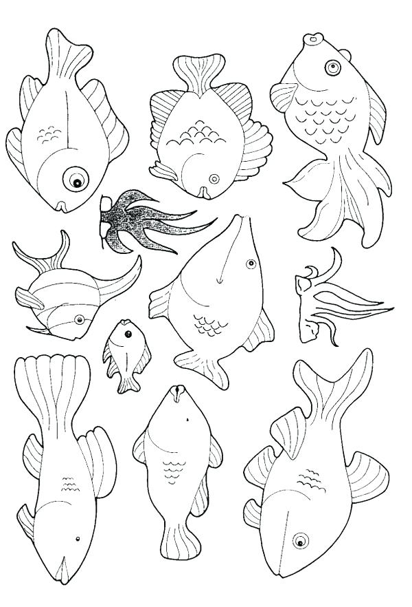 Coloring Book Fish Coloring Fish Coloring Book Ocean Fish Coloring 600x882 Coloring Book Fish Coloring Fish Coloring Book Ocean Fish Coloring
