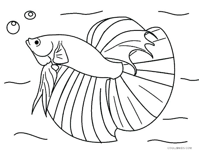 Coloring Page Fish Color Pages Of Fish Color Pages Of Fish Ocean 670x512 Coloring Page Fish Color Pages Of Fish Color Pages Of Fish Ocean