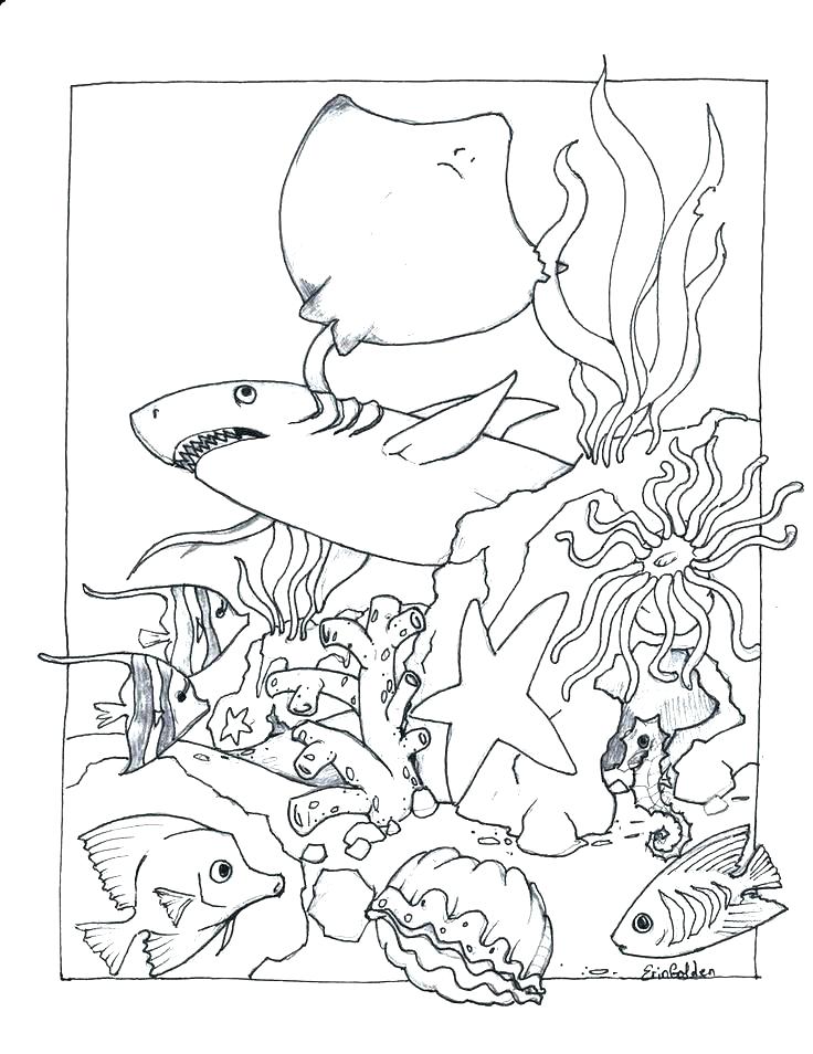 Ocean Life Coloring Pages Sea Life Coloring Pages In Addition 736x954 Ocean Life Coloring Pages Sea Life Coloring Pages In Addition