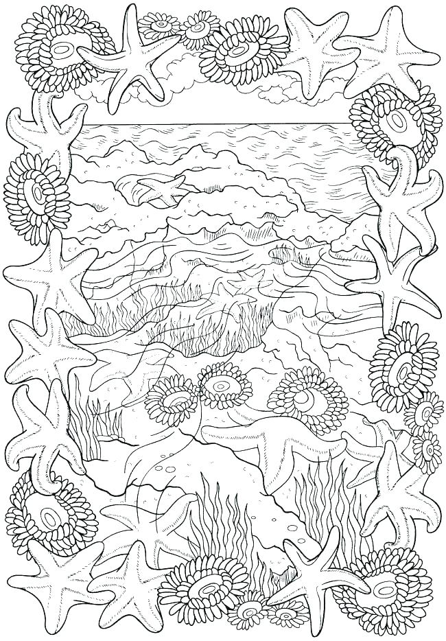 Marine Coloring Page 650x934 Marine Coloring Page