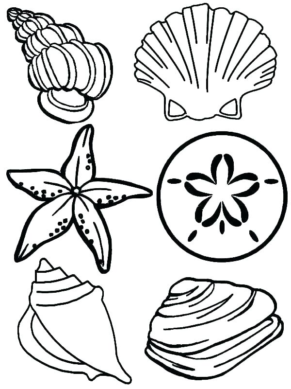 Coloring Pages Of The Ocean Ocean Life Coloring Pages Preschool 600x800 Coloring Pages Of The Ocean Ocean Life Coloring Pages Preschool