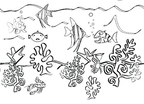 551x400 Book Of Life Coloring Pages