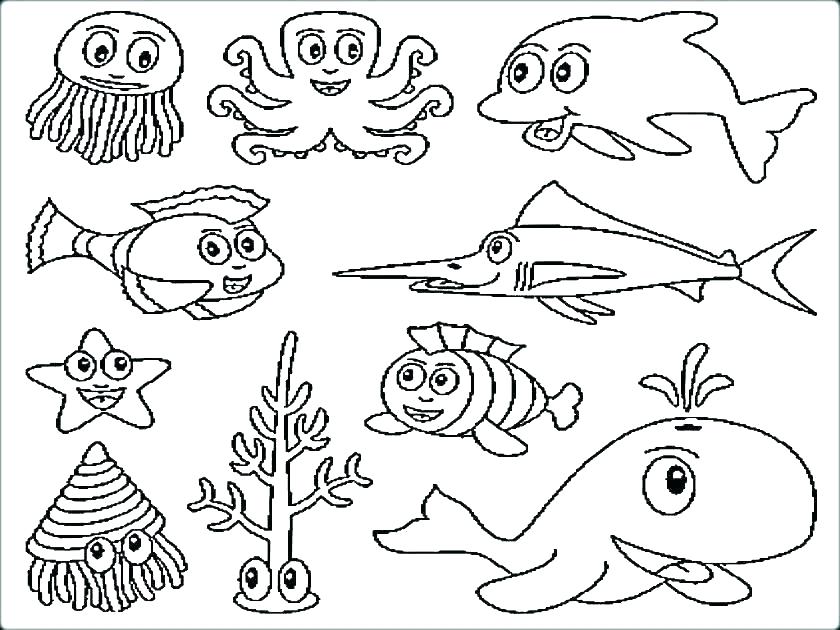840x630 Marine Life Coloring Pages Marine Life Coloring Pages Ocean Fish