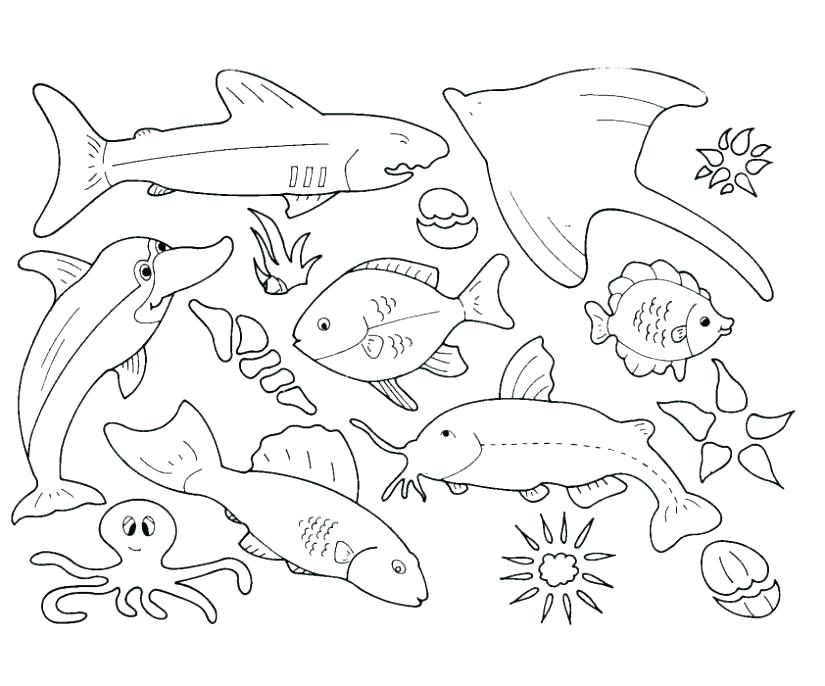 Coloring Pictures Of Marine Animals New Ocean Pages For Kids 825x686 Coloring Pictures Of Marine Animals New Ocean Pages For Kids