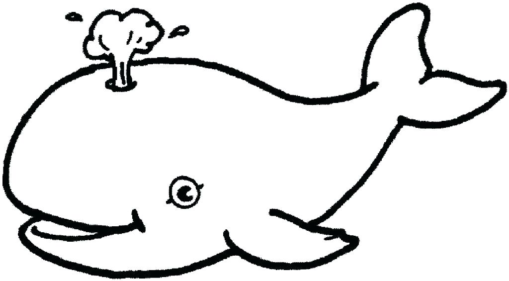 Free Ocean Life Coloring Pages Coloring Pages Of Ocean Animals 1024x565 Free Ocean Life Coloring Pages Coloring Pages Of Ocean Animals