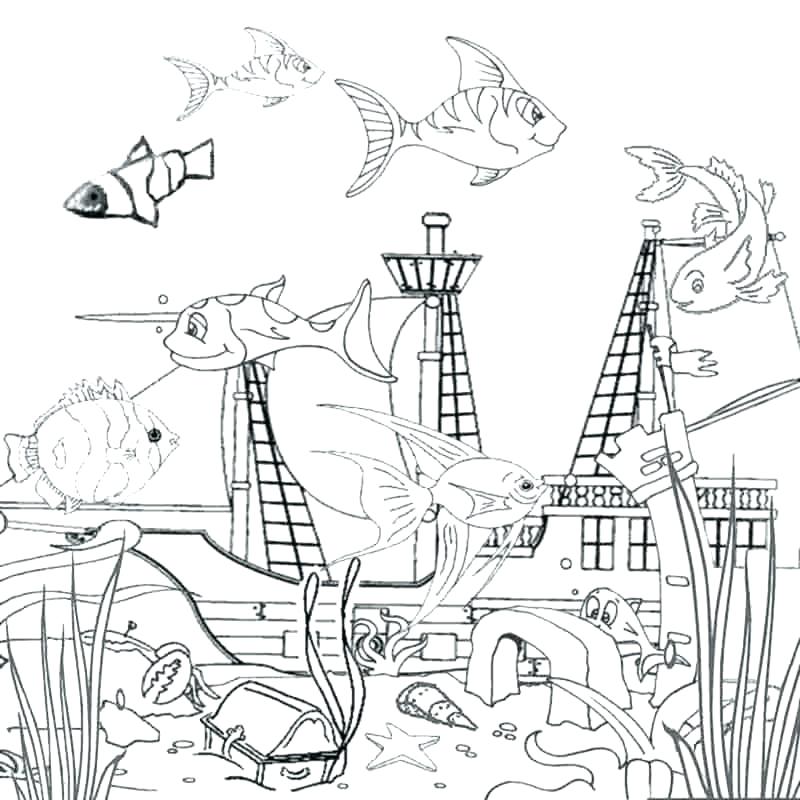 Marine Coloring Page Marine Coloring Page Ocean Coloring Pages 800x800 Marine Coloring Page Marine Coloring Page Ocean Coloring Pages